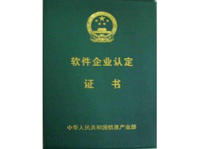 厦门双软评估说明书